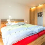 Ski In Ski Out Apartment Fastenberg Top 2 By Aa Holiday Homes